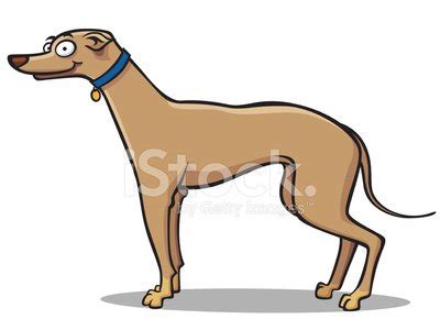 Greyhound Cartoon Images – Browse 2,603 Stock Photos, .